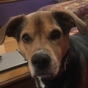 Meet your Posher, Thomas